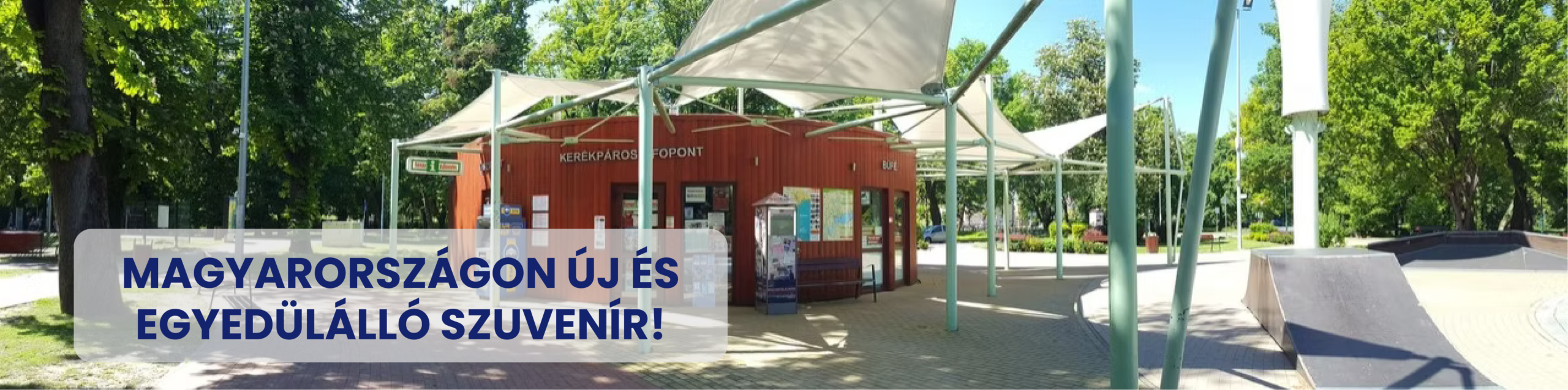 13fc43_aeb630afc8ec4f6692e13f077185332c~mv2-01