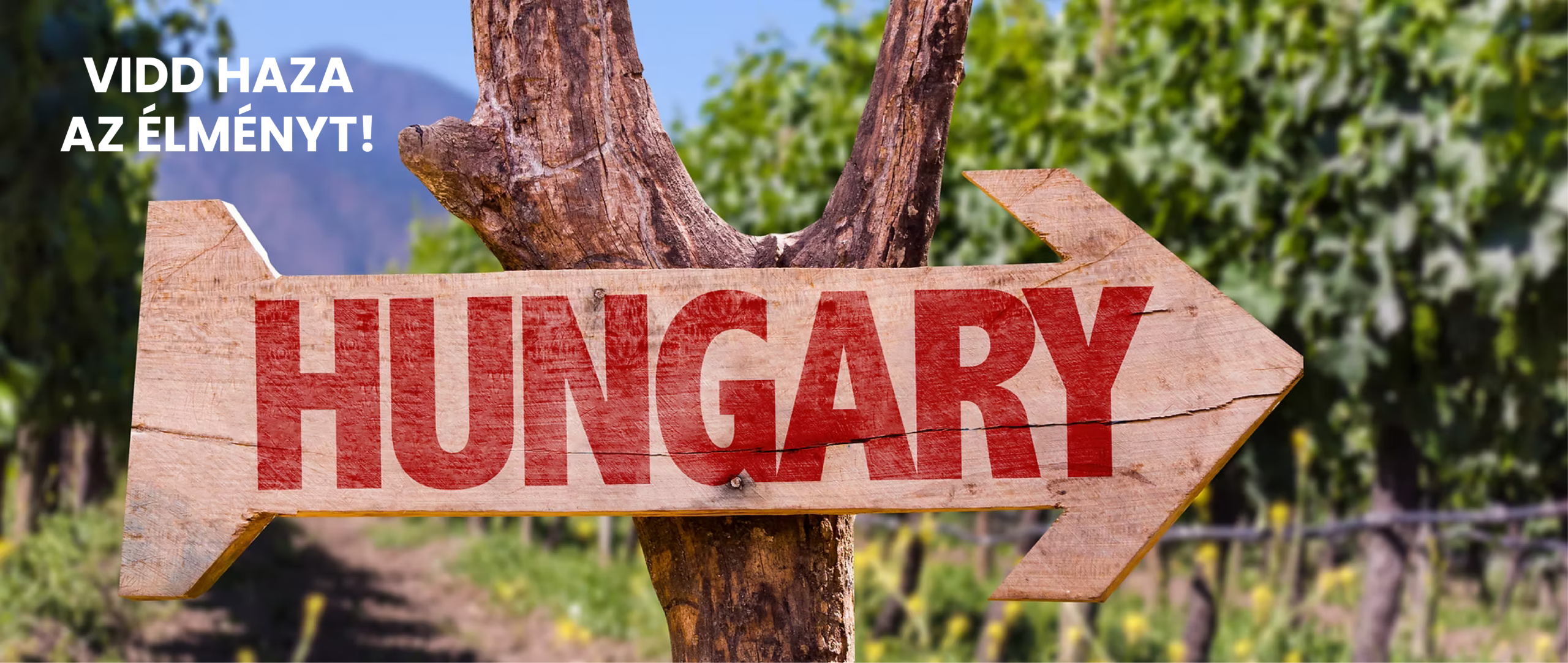 13fc43_d42d83f1d55744cbbc7a804a210b777a~mv2_d_2000_1299_s_2-01-01-01